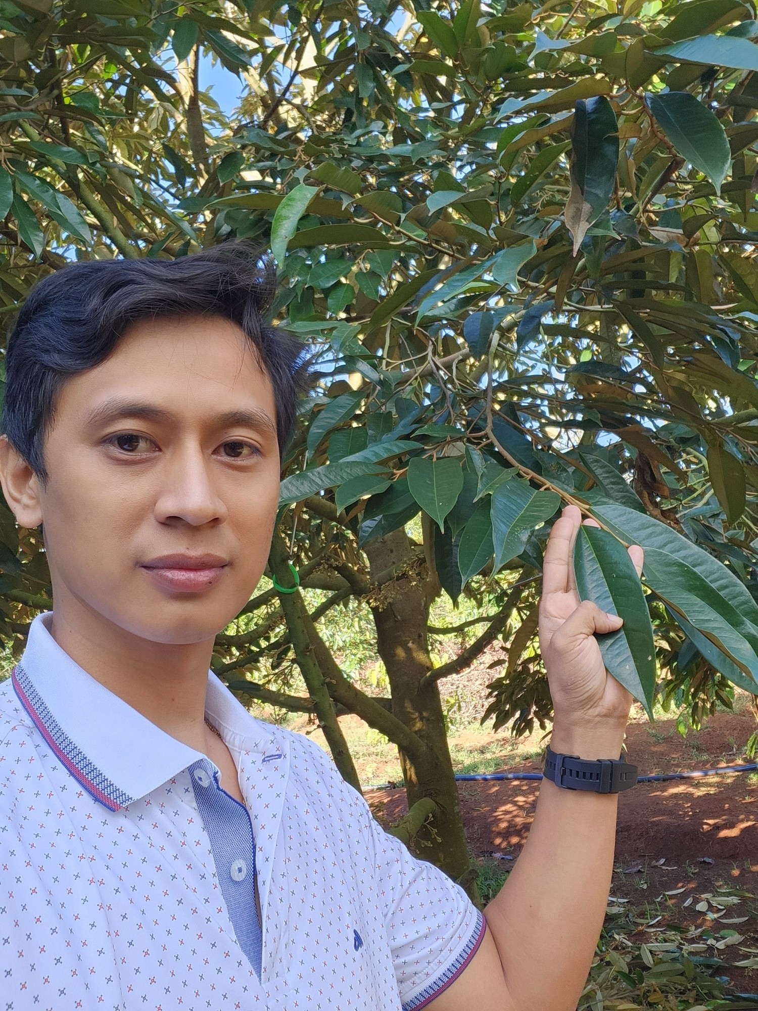 Nguyễn Đức Tốt thăm vườn sầu riêng của khách hàng